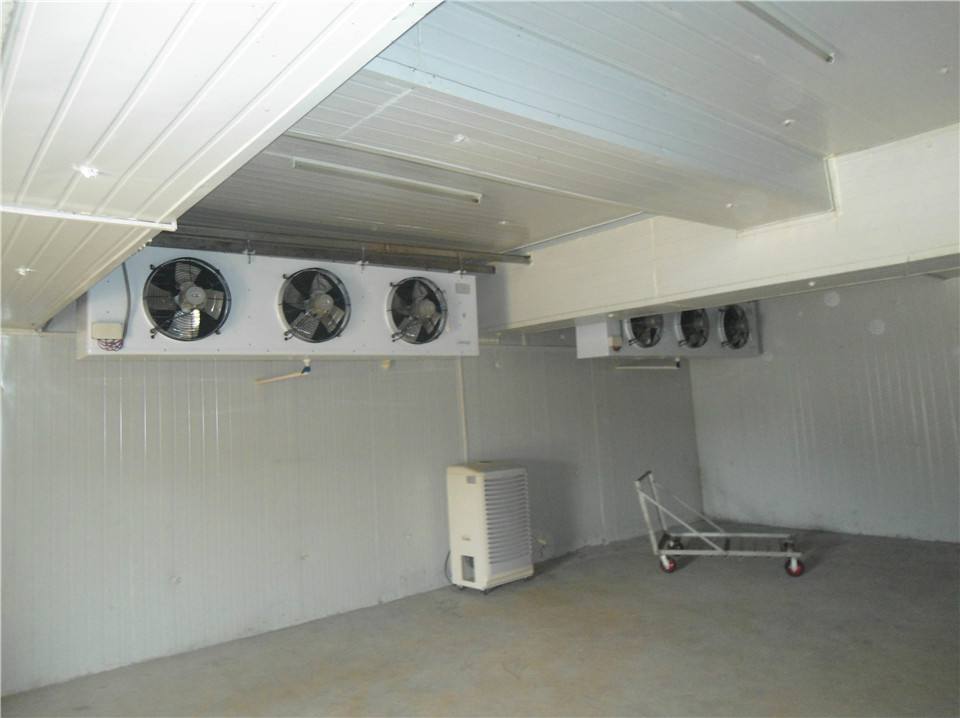 種植香蕉需要建冷庫(kù)嗎?