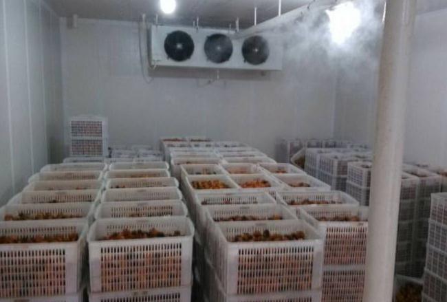 跟著安徽雪坊一起來了解下影響冷庫設(shè)備制冷效果的幾個因素吧！
